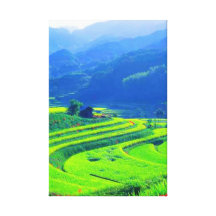 Catcher Scenery 16  Stretched Canvas Print