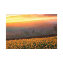 Catcher Scenery 17  Stretched Canvas Print