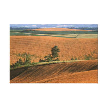Catcher Scenery 19  Stretched Canvas Print