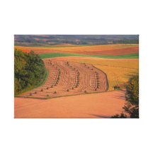 Catcher Scenery 20  Stretched Canvas Print