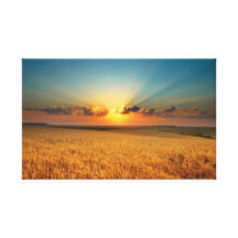 Catcher Scenery 2  Stretched Canvas Print