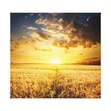 Catcher Scenery 2  Stretched Canvas Print