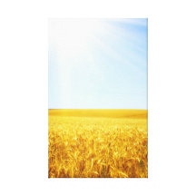 Catcher Scenery 4  Stretched Canvas Print