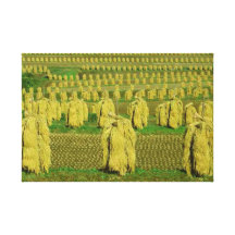 Catcher Scenery 7  Stretched Canvas Print