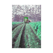 Catcher Scenery 9  Stretched Canvas Print