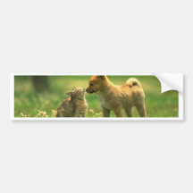 catdog love bumper stickers