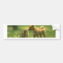 catdog love bumper stickers