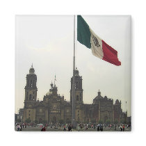 Catedral en el Zocalo del DF con la Bandera Fridge Magnets