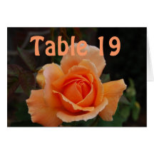 Catered Events Numbered Seating Orange Rose Greeting Card