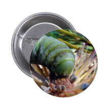 Caterpilla Eating Pinback Button
