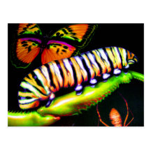 Caterpillar avec l'art de papillon et d'araignée carte postale