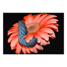 Caterpillar bleu sur la fleur rose photographies