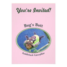 Caterpillar Bug's Butt Custom Announcements