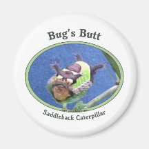 Caterpillar Bug's Butt Refrigerator Magnets