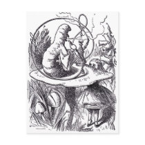 Caterpillar postcards