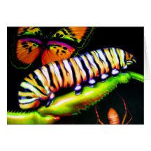 Caterpillar with Butterfly and Spider Art Card
