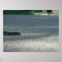 Caterpillar's View Print