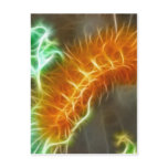Caterpiller Fractal Postcard