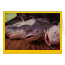 "Catfish" Cards