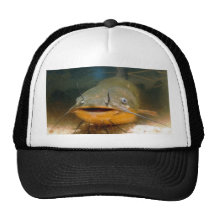 catfish mesh hat