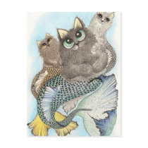 catfish postcards