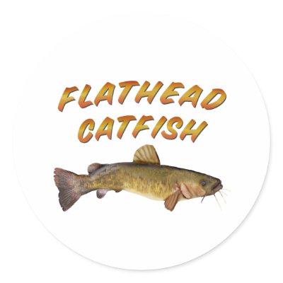 Catfish Stickers by bigfishead