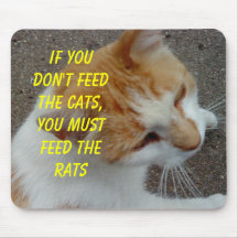 catfood mousepad