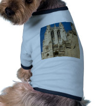 Cathedral Dog T-shirt