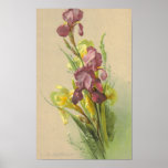 Catherine Klein Vintage Litho Reproduction Canvas Poster