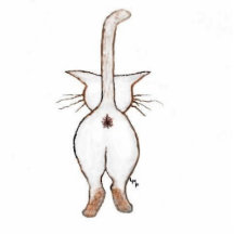 CATITUDE ? U BET YER AZZ ! PHOTO SCULPTURES