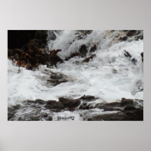 Catlins Wild Waters Poster