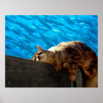 Catnap Fishing