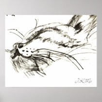 CatNap Wall Decor Posters