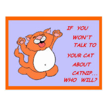 Catnip Kitty Postcard