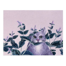 Catnip Post Card