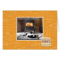 Catnuts roasting card