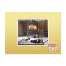 Catnuts roasting postcards