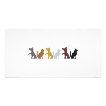 Cats and Dogs cartoon pattern Personalized Photo Card
