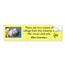 Cats and Music Bumper Stickers
