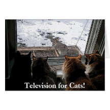 Cats and Squirrel Greeting Cards