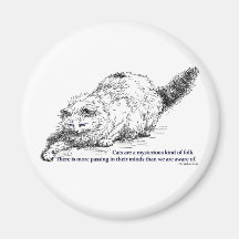 Cats are a Mysterious Kind of Folk. Fridge Magnet