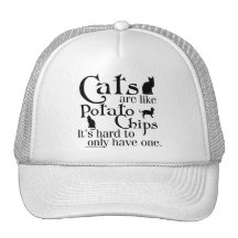Cats are like potato chips... mesh hats
