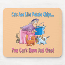 Cats Are Like Potato Chips