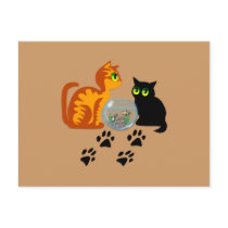 Cats At Play