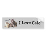 Cats Bumper Sticker PURRsonality