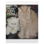 CATS, CATS AND MORE CATS LETTERHEAD TEMPLATE