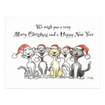 Cats christmas postcard