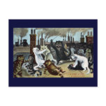 Cats Duke It Out on a Rooftop Postcards