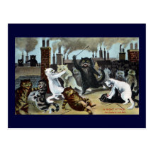 Cats Duke It Out on a Rooftop Postcards