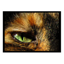 Cat's Eye ATC Business Cards